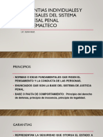 GARANTIAS INDIVIDUALES Y PROCESALES DEL SISTEMA PROCESAL PENAL   1