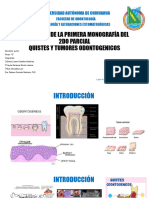 EXPOSICIÓN DE LA PRIMERA MONOGRAFÍA DEL 2DO PARCIAL