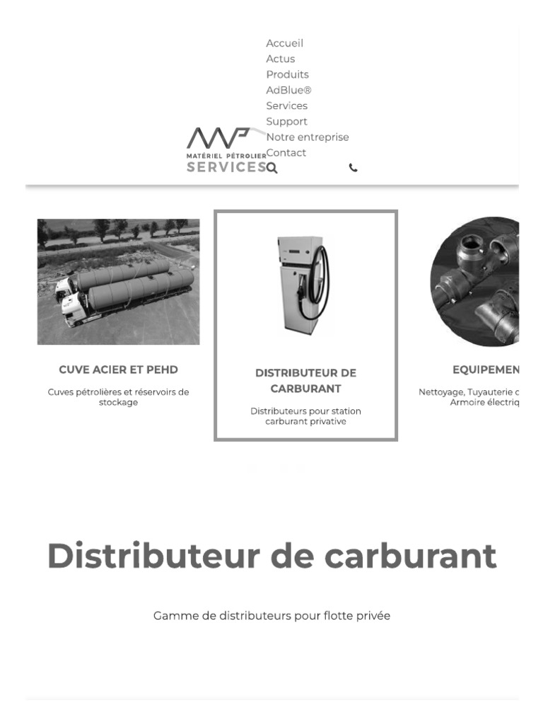 MP Services | PDF