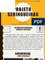 Projeto Seringueiras