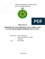 Nhóm 1 - Phosphate Solubilizing Bacteria and Fungi From Rhizosphere of Plants