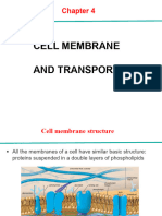 Chapter 4 Cell Membrane