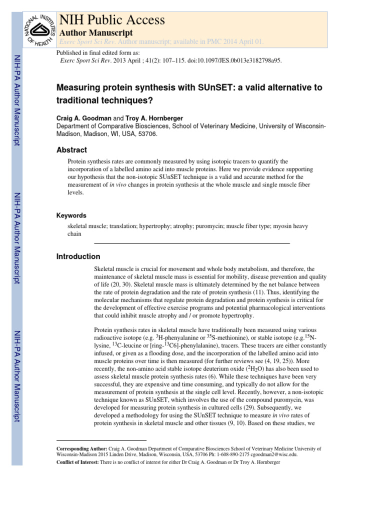 Measuring Protein Synthesis With SUnSET - A Valid Alternative To ...