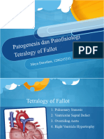 Patogenesis Patofisiologi ToF