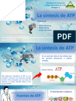 Sintesis de La ATP