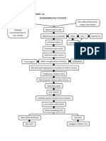 Patofisiologi Cystitis