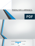 Paralisis Laringea Power