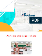 9313 - Anatomia Sistêmica Factum (Parte 1)