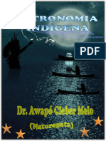 ASTRONOMIA_INDÃGENA_DR_AWAPO[1]