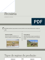 Guia de Estudo Geo 8ºano - Pecuária