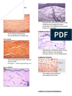 Msk_lecture Histology Notes