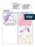 Tropmed - Mikro Notes