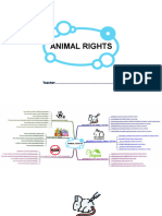 IELTS IDEAS #2 - ANIMAL RIGHT