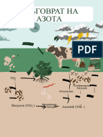 The Nitrogen Cycle Science Poster in Green Brown Flat Graphic Style