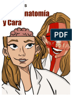 sustancia P Esquemas_neuro_y_cara