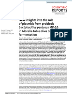 Lactobacillus Plazmid