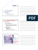 UE8 2022_Orga tissus épith et soutiens_3ème partie_Vignettes