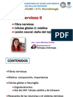 4_Histo-Fibra-mielina-lesión(1)