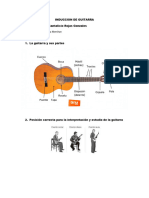 INDUCCION DE GUITARRA, 5 Puntos