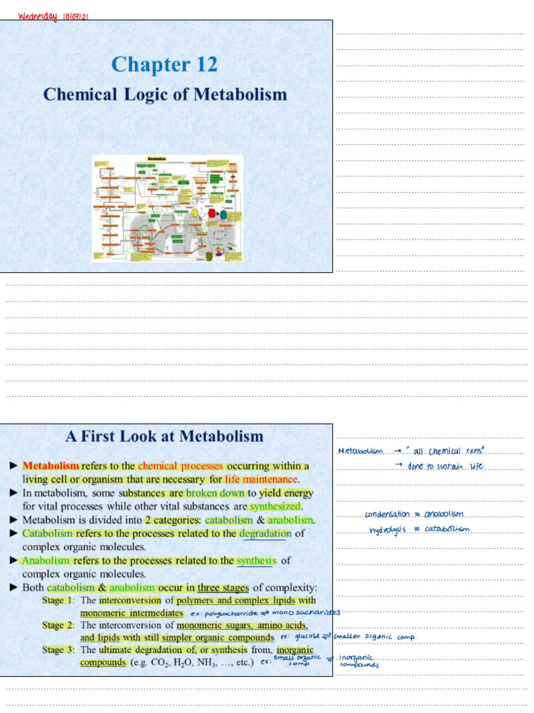 Chapter 12 (Chemical Logic of Metabolism) | PDF