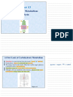 Chapter 13 (Carbohydrate Metabolism - Glycolysis)