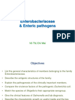 Enterobacteriaceae - 2020 Nov - P