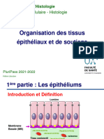 UE8 2022_Orga tissus épith et soutiens_1ère partie