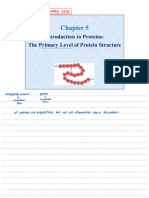 Chapter 5 (Introduction To Proteins - The Primary Level of Protein Structure) PDF