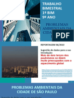 Trabalho Bimestral 1º BIM 9º ANO: Problemas Ambientais Da Cidade de São Paulo