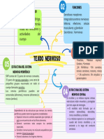 Grafico Mapa Mental Hoja de Cuaderno Escolar Creativo Colorido