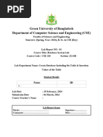 Sample Lab Report Template 