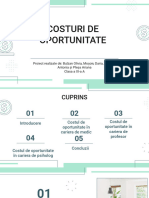 Costuri de Oportunitate 2