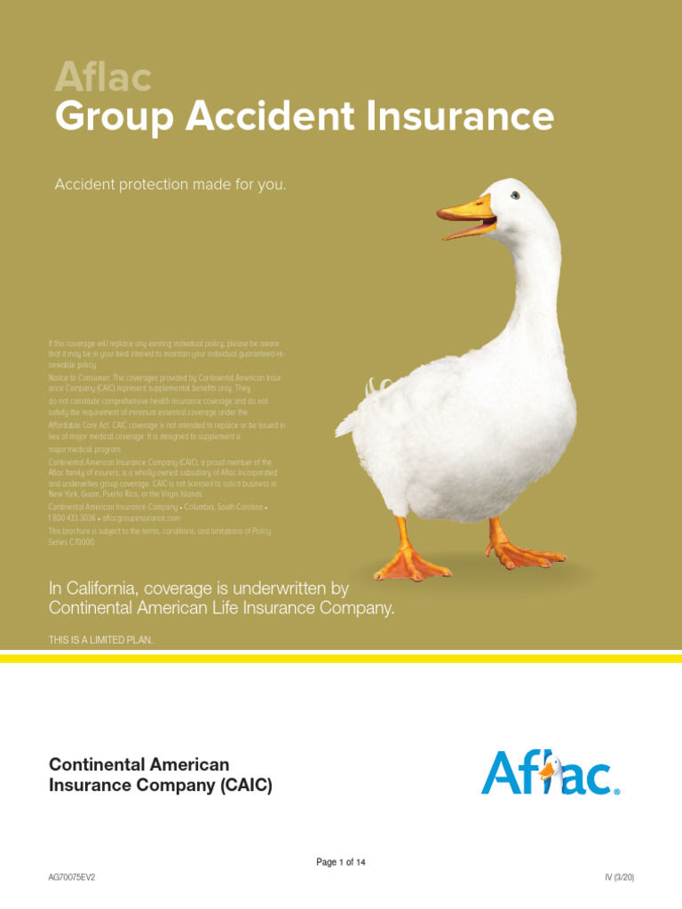 2024 Aflac Accident Brochure - Scribd | PDF | Hospital | Emergency ...