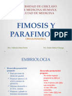 Fimosis y Parafimosis