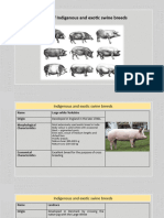 Study of Indigenous and Exotic Swine Breeds