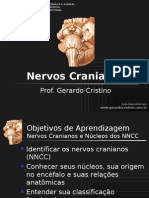 03 T2_Nervos_Cranianos