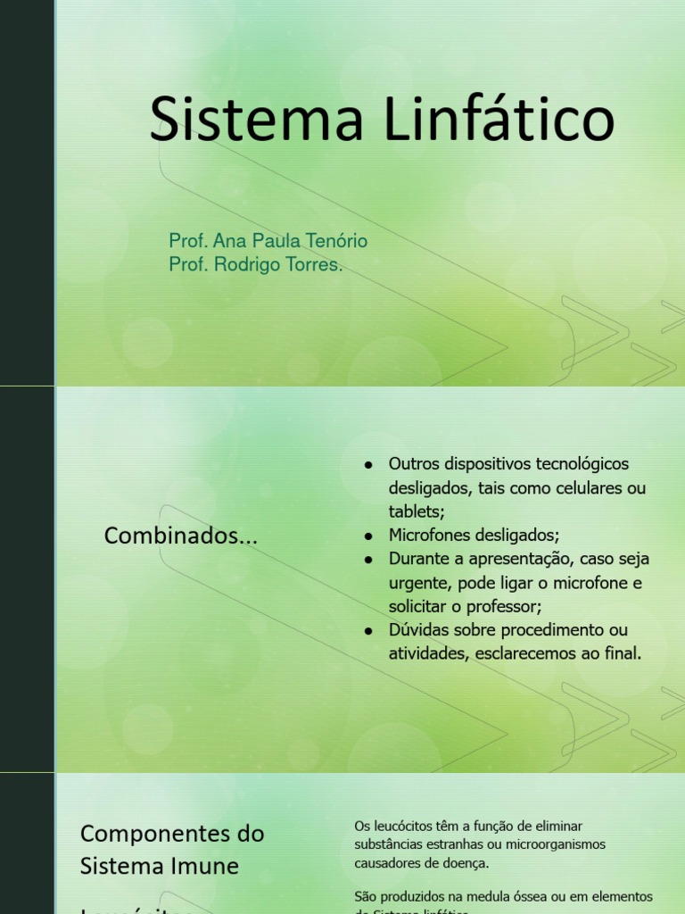 Sistema Linfatico Circuito Pdf Baço Sistema Linfático