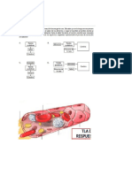 2024 11 Pregyuntas para Evaluacion