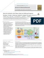 Quercetin alleviates acute kidney injury by inhibiting ferroptosis