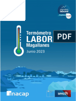 Termómetro Laboral Magallanes - JUNIO 2023