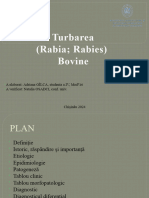 Rabia