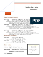 Curriculum Vitae Modelo1 Marron