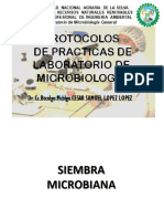 PRACTICA N°4 Siembra Microbiana