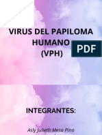 Virus Del Papiloma Humano VPH