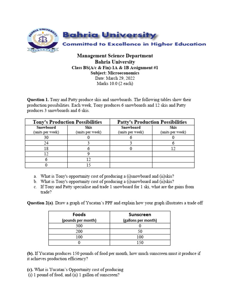Microeconomics Assignment on Production and Trade | PDF | Supply ...