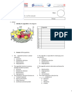 Ud1 Cell-1