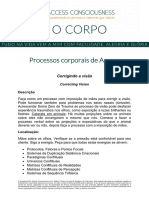 001 BPSheet 017.correcting Vision May 2022 PORTUGUESE A4