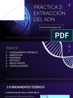 Extracción Del Adn