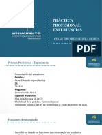 Plantilla Presentacion Practica Profesional
