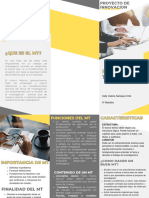 Folleto Brochure de Servicios Empresa Profesional Amarillo